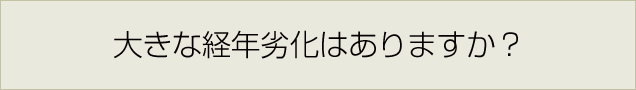 大きな経年劣化はありますか？